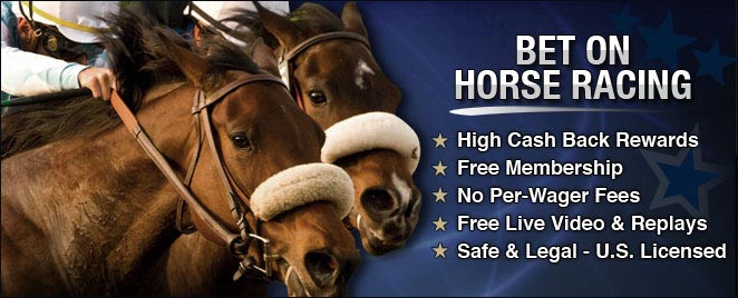 Horse Betting